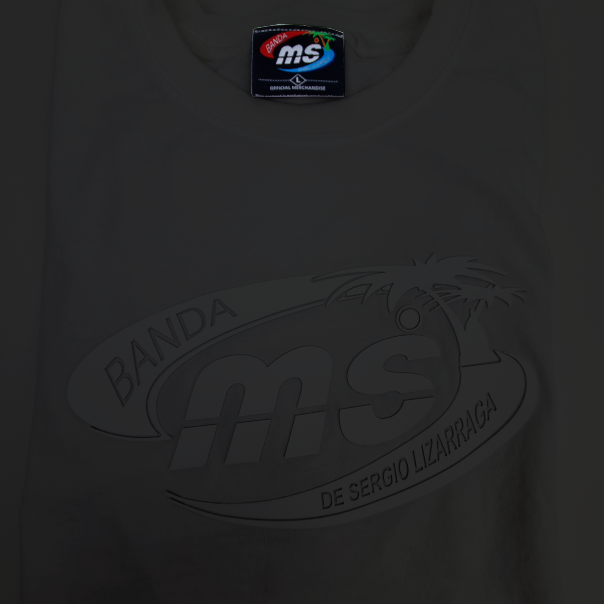 PLAYERA NEGRA TEXTURIZADA CON LOGO CLÁSICO DE SILICONA-BANDA MS